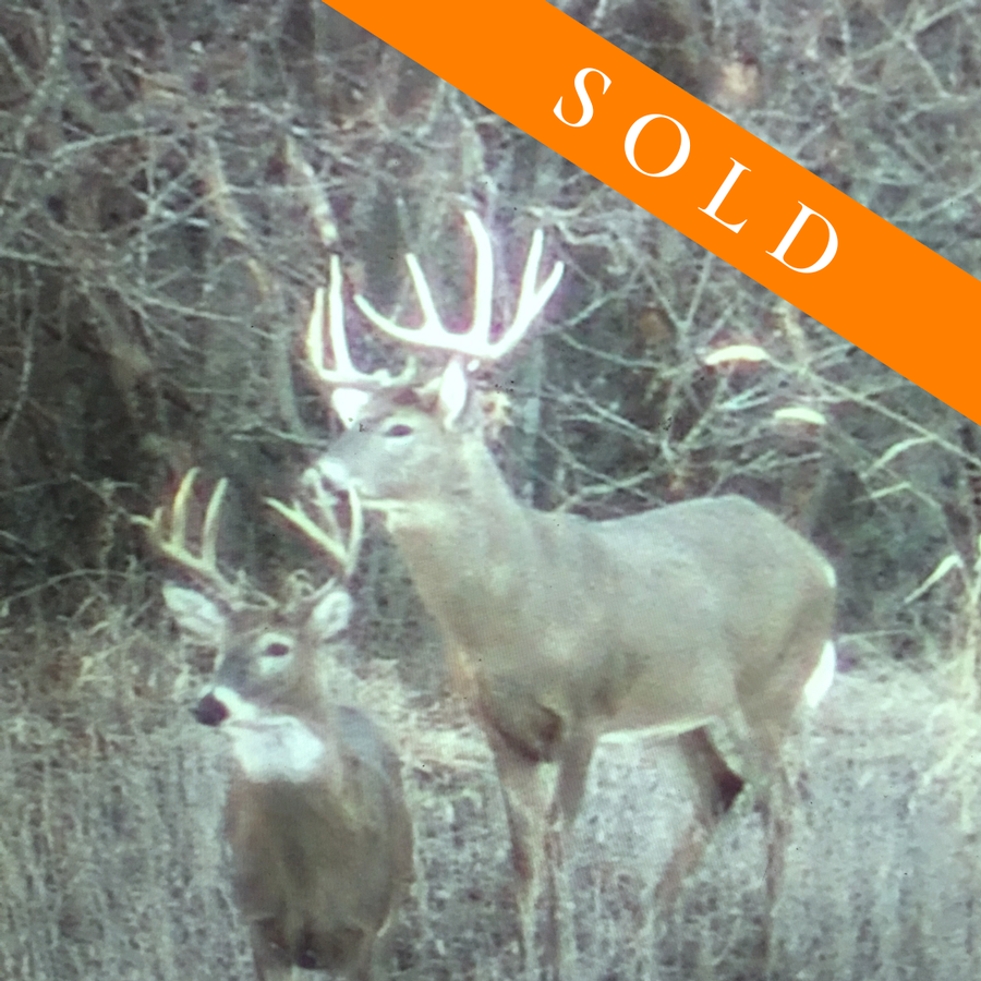 Prime Hunting and Recreational Property in Randolph County, MO – 162 m/l Acres of Excellence